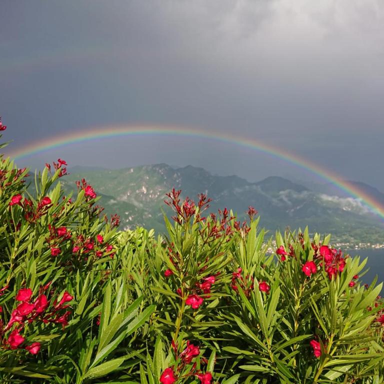 Villa Primula - Appartamento con Vasca Idromassaggio e Vista Lago - 58