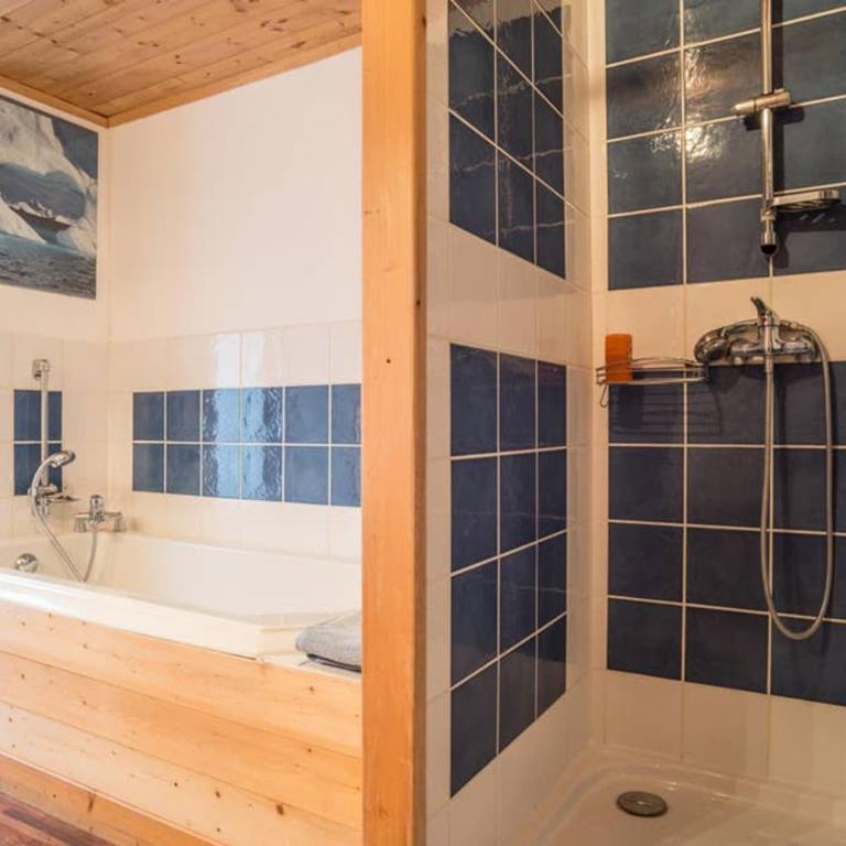 Appartement spacieux proche des télécabines et du centre ville avec jardin privé - Appartement 1 Chambre - 20