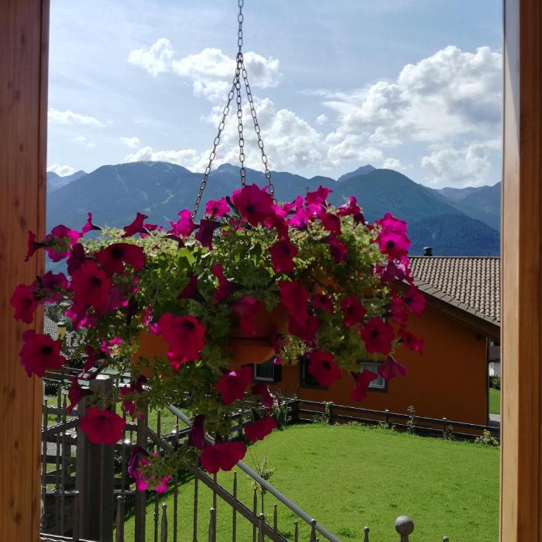 Villa in Val di Fiemme - Villa - 6