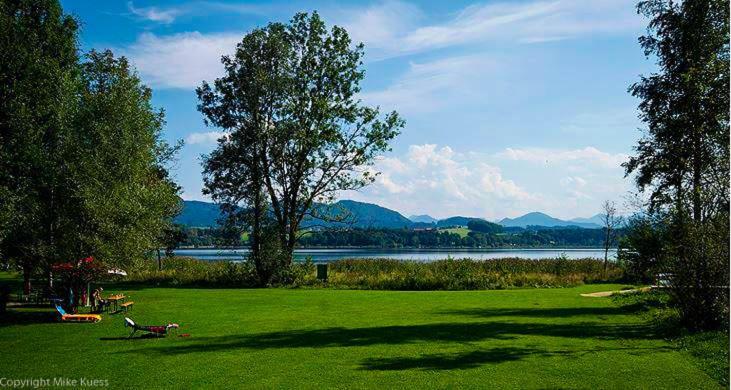 Urlaub am Wallersee - Haus mit 2 Schlafzimmern - 16