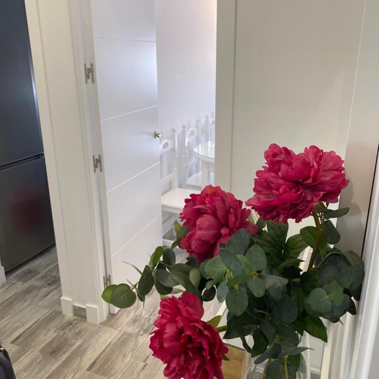 Conil Apartment - Apartamento - 8