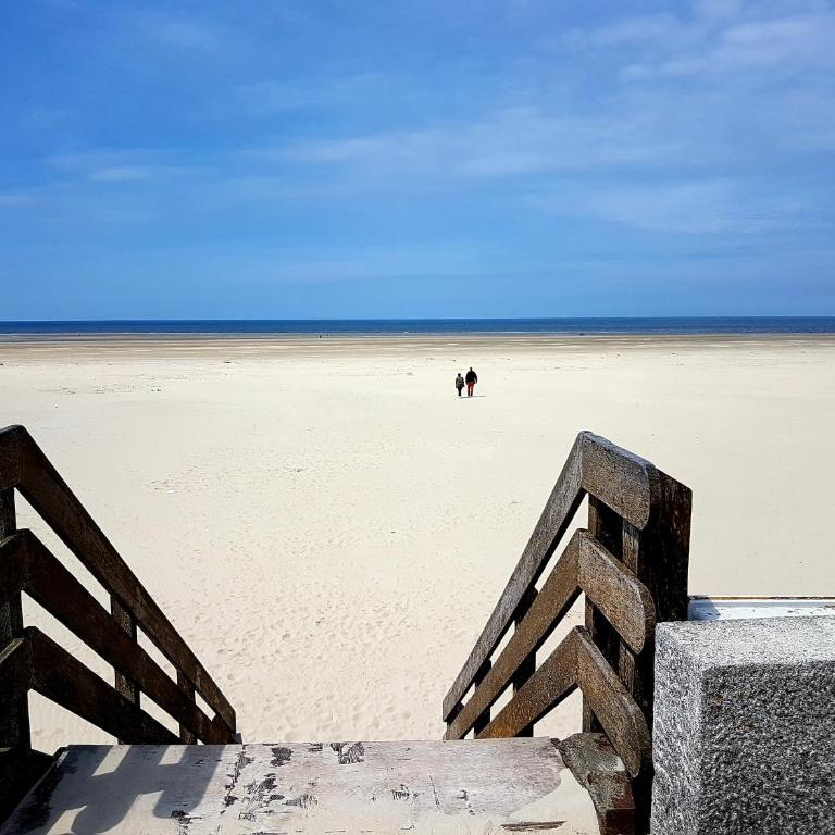 LES VAGUES, plage et centre à pied, terrasse rez-de-ch, parking gratuit, lits faits, animal bienvenu - Apartment - Erdgeschoss - 41