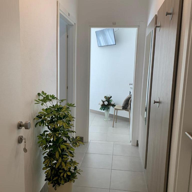 HOTEL LORENA - Suite Familiare - 5