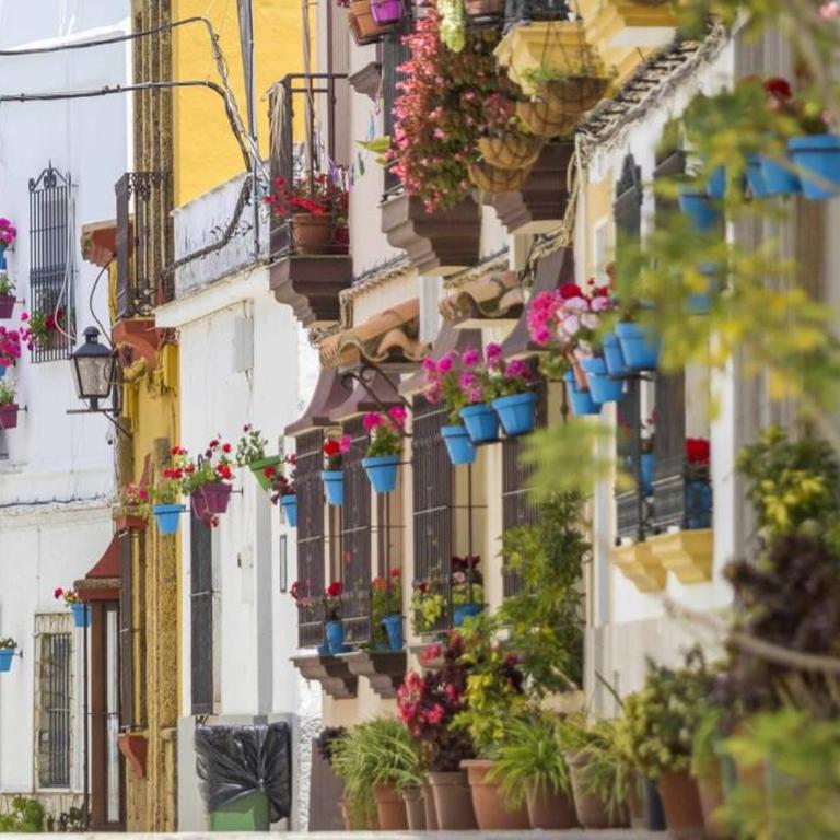 Casa "LAS FLORES" - Casa de 3 dormitorios - 14