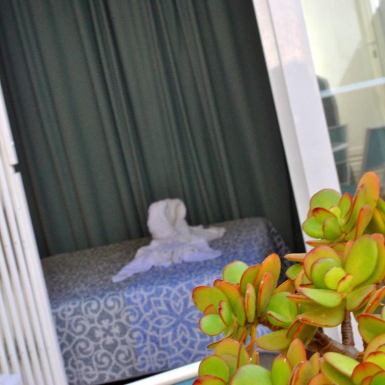 San Antonio - Beach, pool and terrace - Apartamento - Planta baja - 12