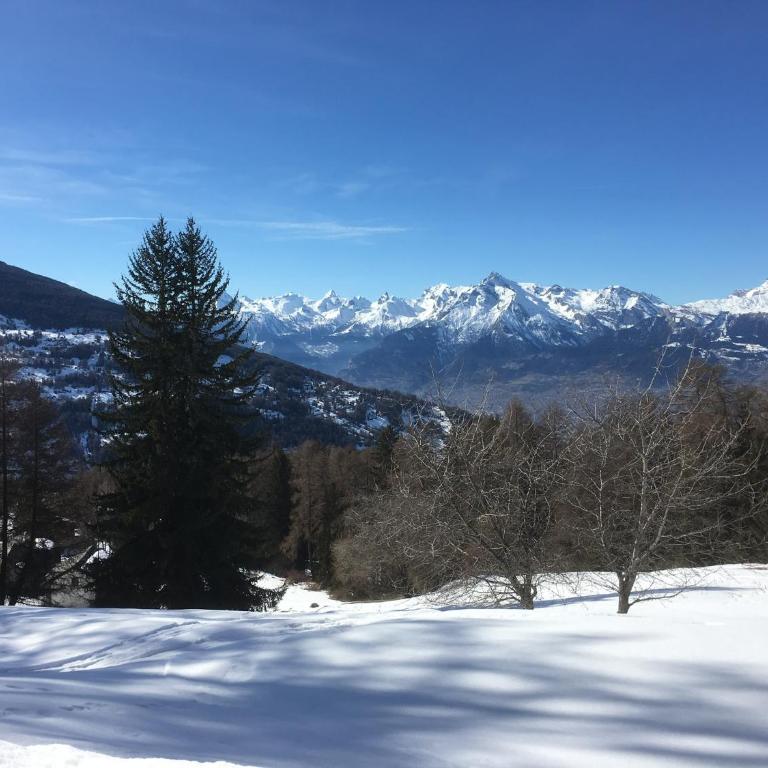 CHEZ FOLLO - Chalet mit 2 Schlafzimmern - 10