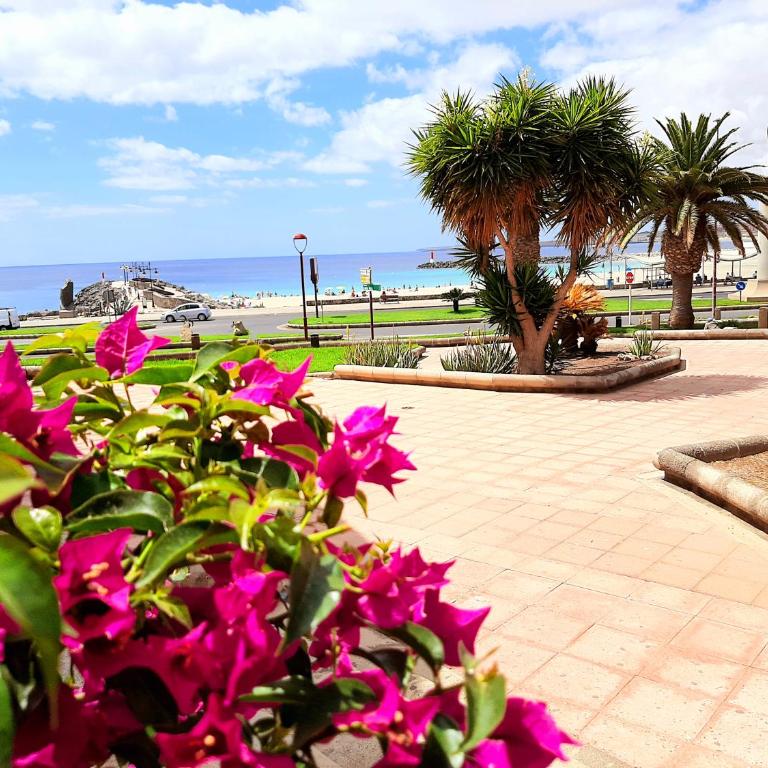 el Bounty de Playa Chica - Casa con 1 dormitorio - 13