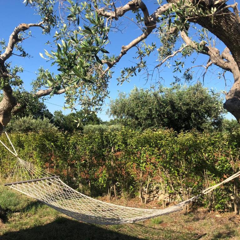 Villa Trullo Cristi - Casa Vacanze - 12