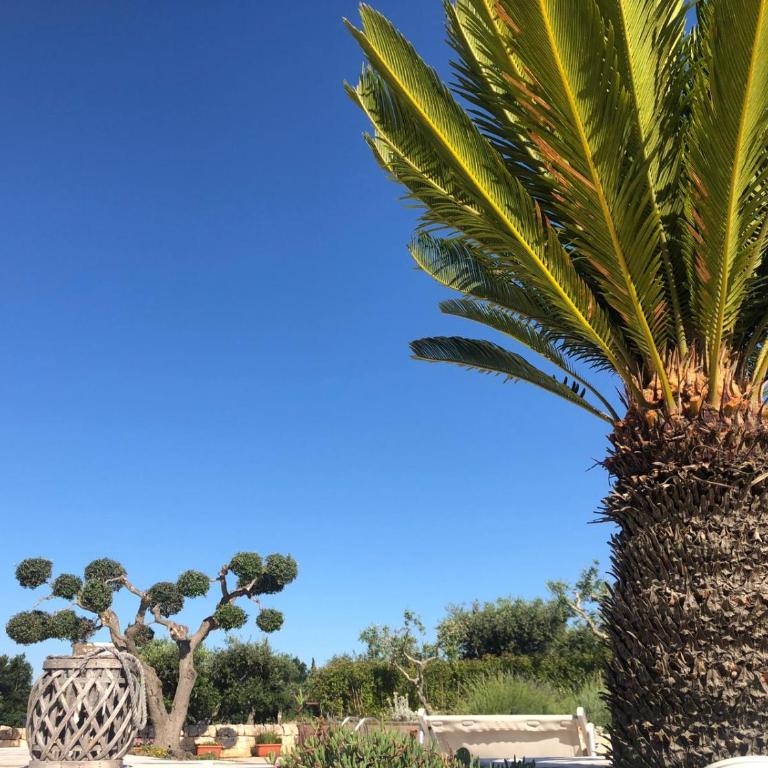 Villa Trullo Cristi - Casa Vacanze - 7