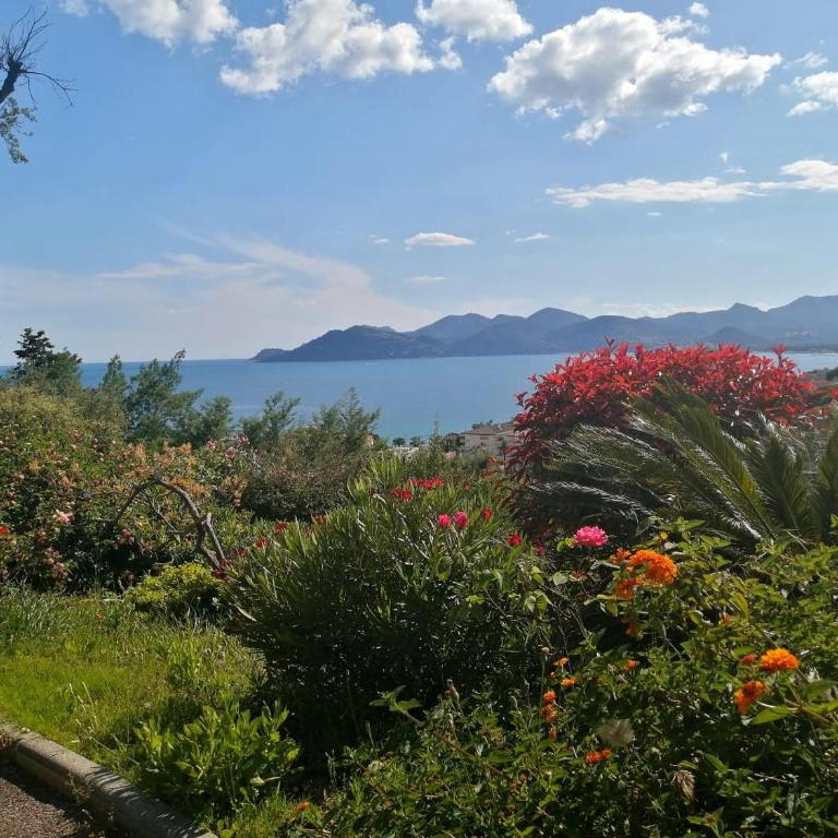 Flo & Rose Azur - Duplex vue mer terrasses piscine jardins parking - Appartement - Vue sur Mer - 2