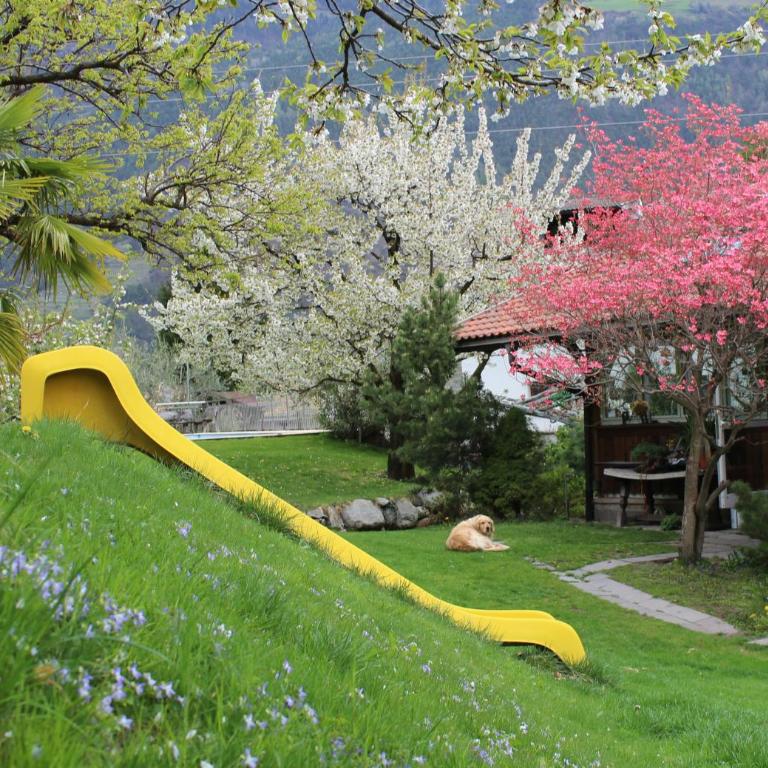 Moserhof - Appartamento con Terrazza - 30