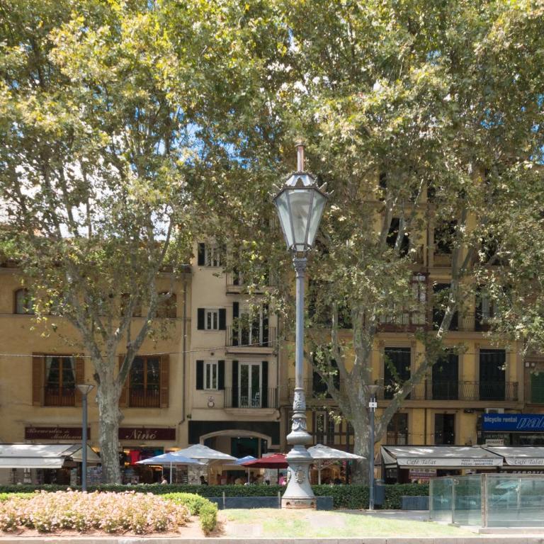 MARsuites Palma - Turismo de Interior TI 162 - Apartamento de 1 dormitorio - 31