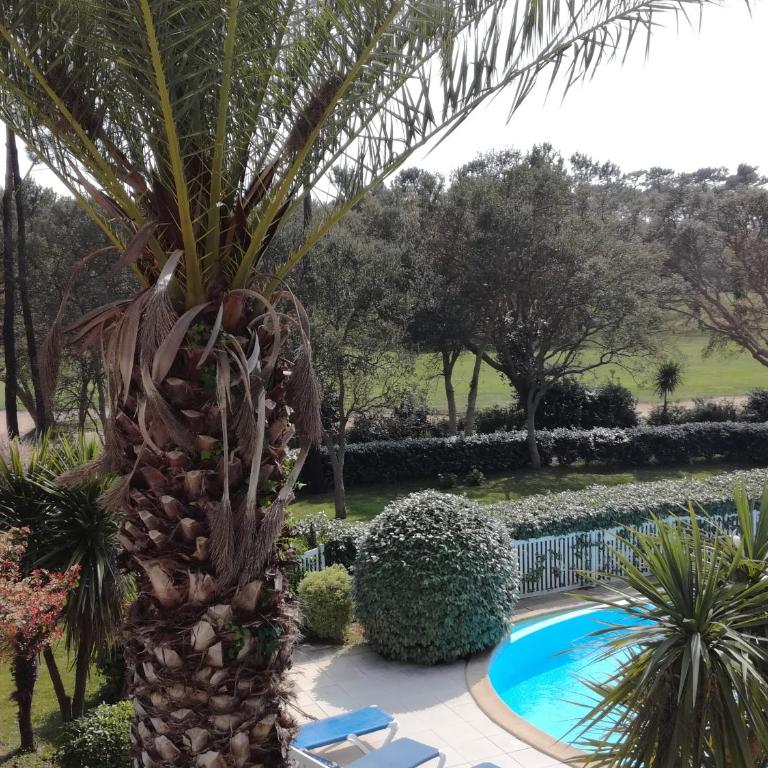 Location d Armelle - Moliets - Appartement - Vue sur Piscine - 45