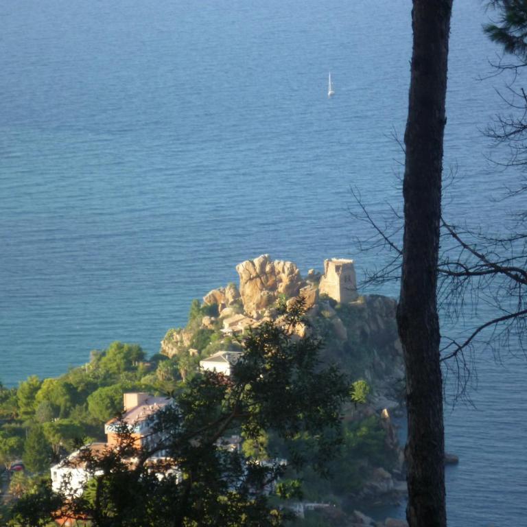Alba Tra I Pini B&B - Camera Matrimoniale/Doppia con Letti Singoli con Vista Mare - 6