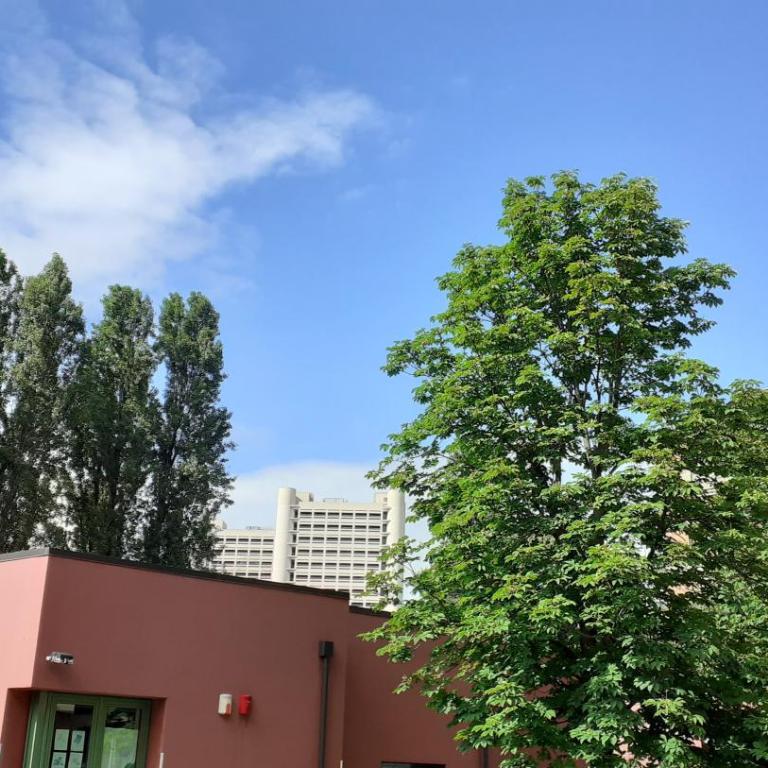APPARTAMENTO Fiera-Centro - Appartamento con 1 Camera da Letto - 12