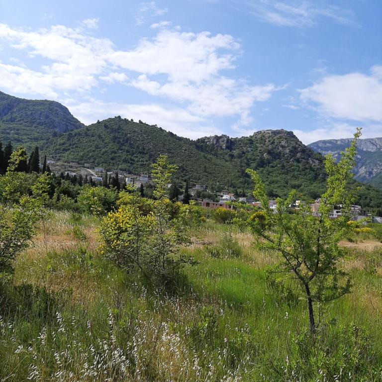 "Lazaret" SUTOMORE - Apartman sa 1 Spavaćom Sobom - 15