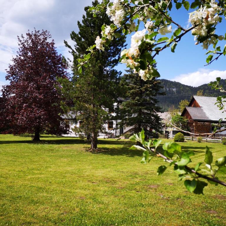 Ferienwohnungen BERGfeeling - Apartment mit Blick auf die Berge - 26
