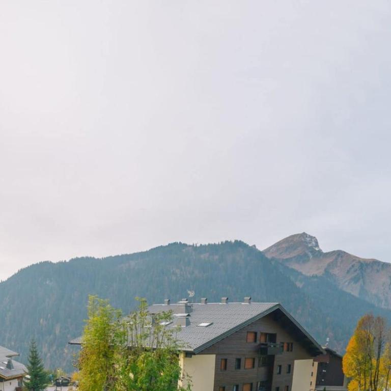 Le Yeti - Apt B3 N3 - BO Immobilier - Châtel Multipass 2026 Activités en Été offert par votre hôte - Appartement 1 Chambre - 13