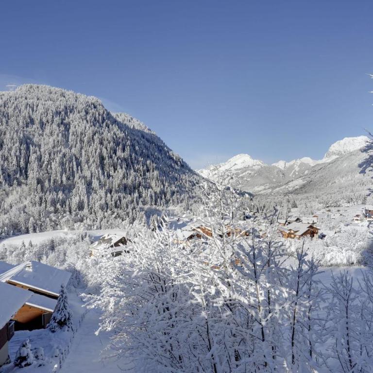 Les Loges Blanches - Apt C001 - BO Immobilier - Châtel -Reduced prices on ski passes Châtel & Portes du Soleil - Appartement 3 Chambres - 4