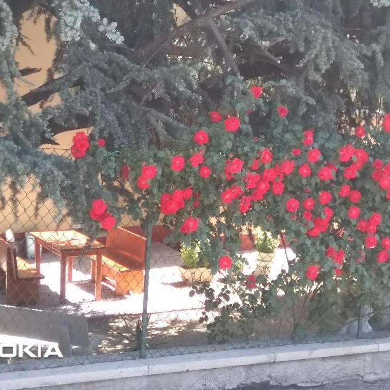 VILLA LILLI - Appartamento con 1 Camera da Letto - 9
