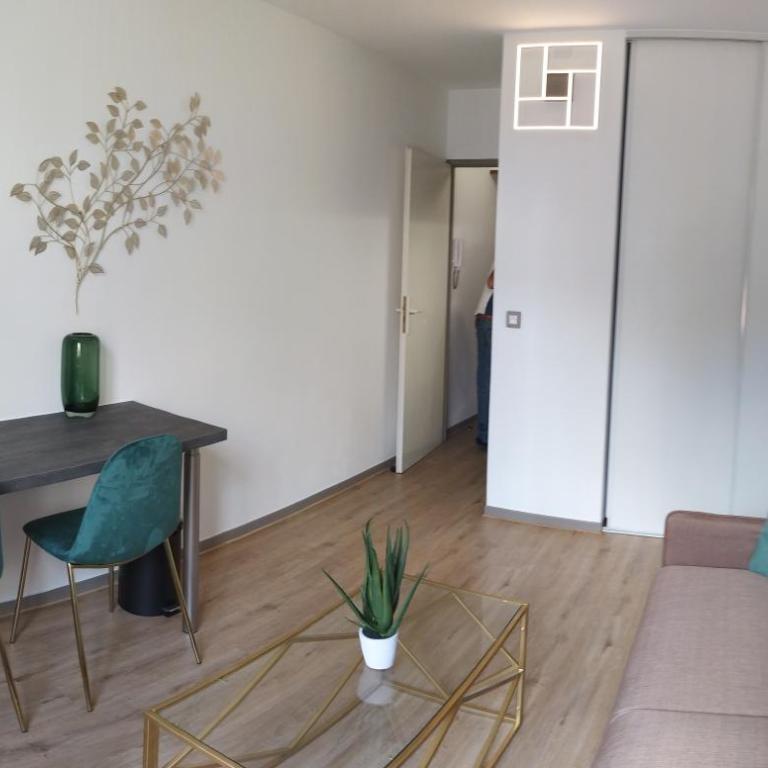 Berge du Rhône, Centre Lyon, espace de travail, tout à pied, Université Lyon 2 et Lyon 3, idéal voyage d'affaires, tourisme, loisirs - Studio - 11
