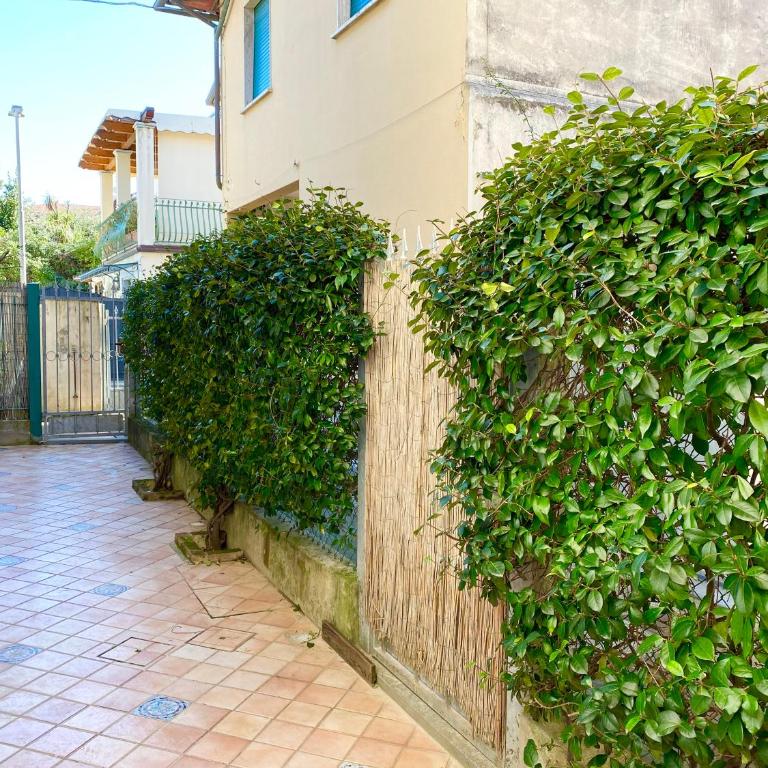 Peace Nest Forte dei Marmi - Appartamento con 2 Camere da Letto - 4