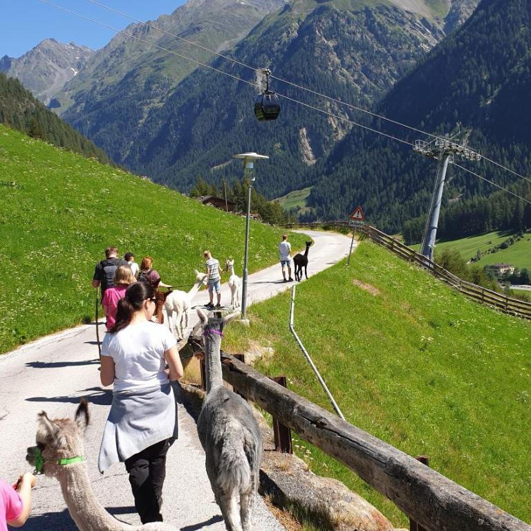 Stockers Apart - Apartment mit Blick auf die Berge - 12