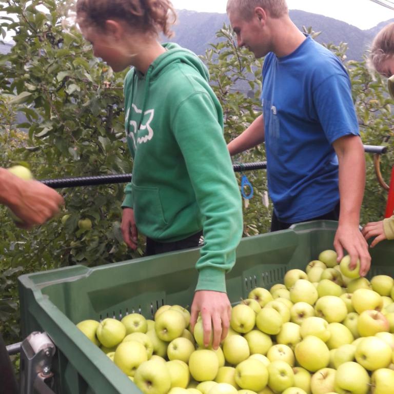 Moserhof - Appartamento con Terrazza - 20