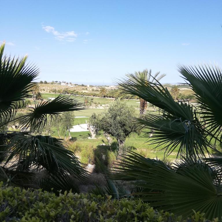 BAJO con JARDÍN PROPIO EN VALLE DEL ESTE GOLF!! - Apartamento de 2 dormitorios - 32