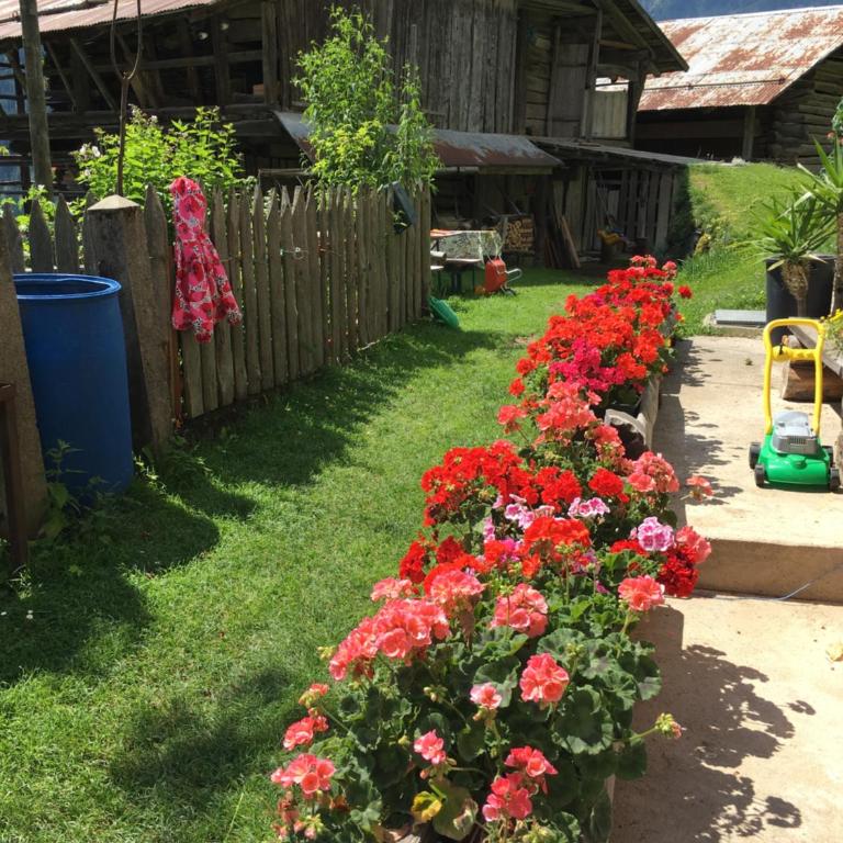 Casa Soraya - Appartamento con 2 Camere da Letto - 40
