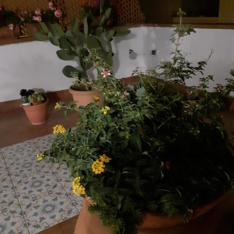 Dolce far niente - Casa con 1 Camera da Letto - 10