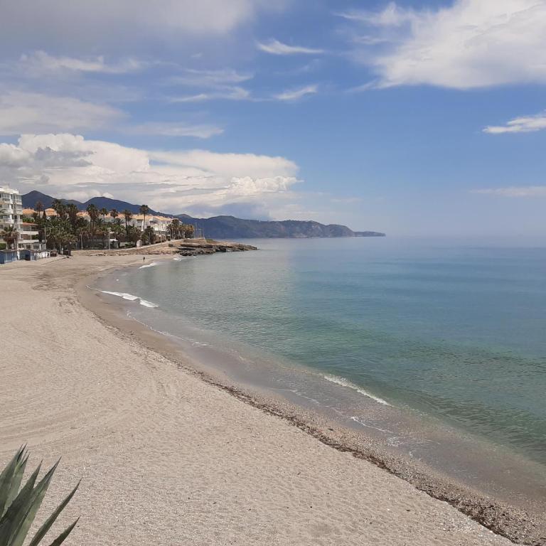 Playa Torecilla Beachfront - Apartamento con vistas al mar - 16