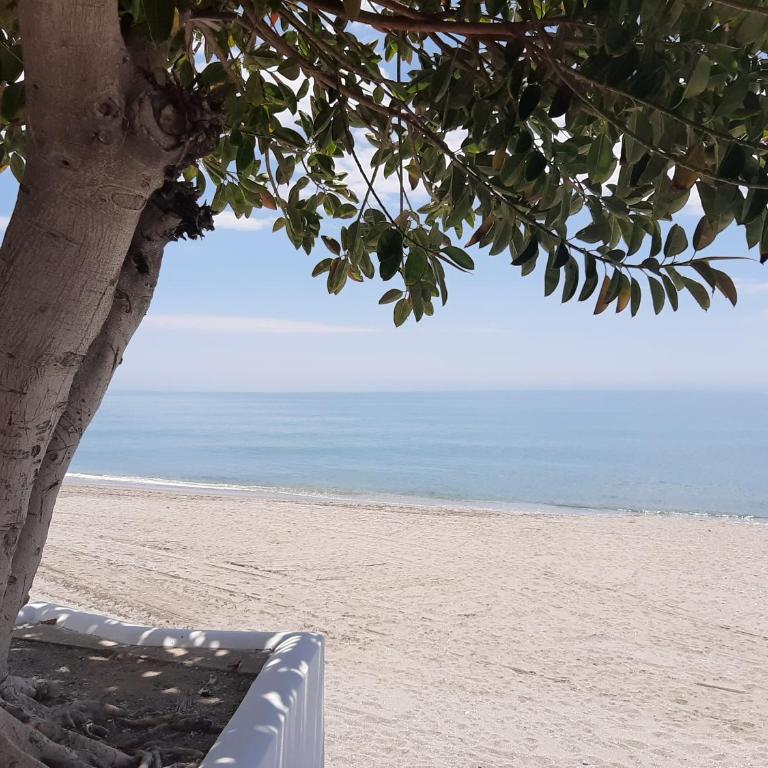 Playa Torecilla Beachfront - Apartamento con vistas al mar - 15