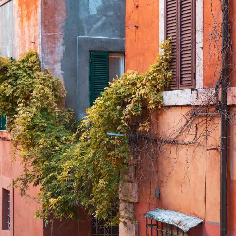 TrastevereHome - Paglia House of 17Century in Trastevere - Appartamento - 23