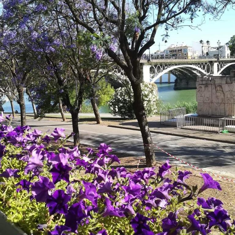 Anna Triana Boutique Apartament - Apartamento - 42