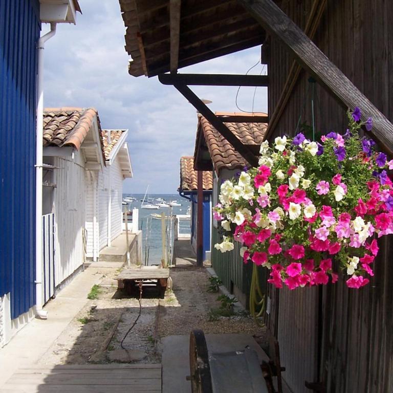 Lénoka - Apartment mit Gartenblick - 47