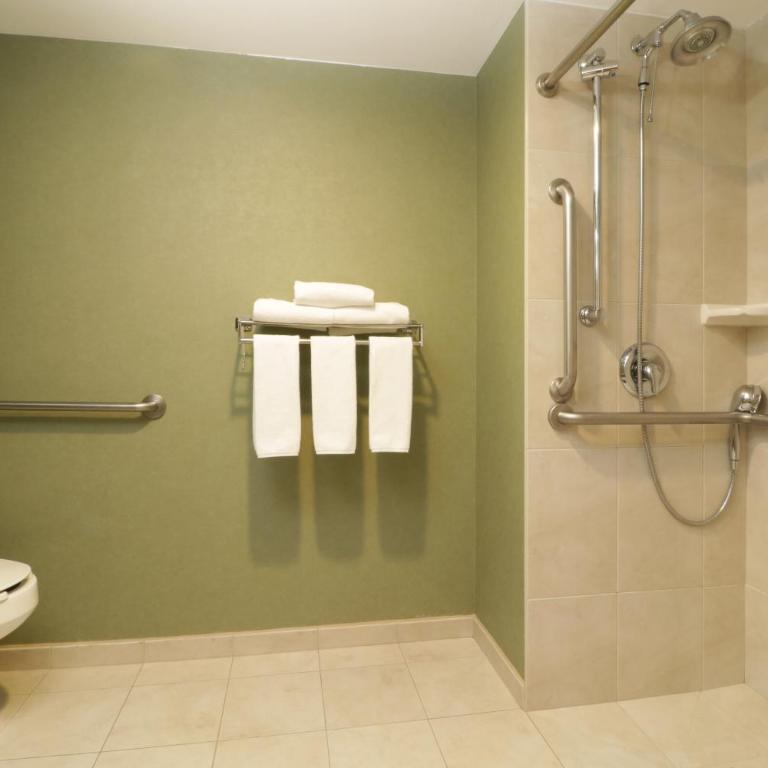 Holiday Inn Express & Suites Monterrey Aeropuerto by IHG - Standard King Room - Accessible - 6