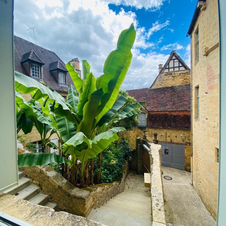 Sarlat.Catalina - Apartment - 9