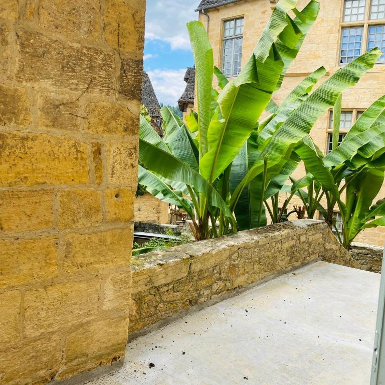 Sarlat.Catalina - Studio - 6