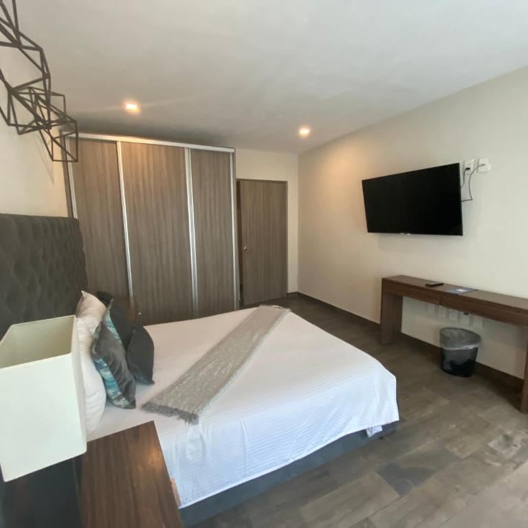 Suites Rio Elba - Standard Suite - 1