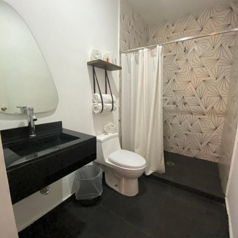 Suites Alcazar - Standard Suite - 7