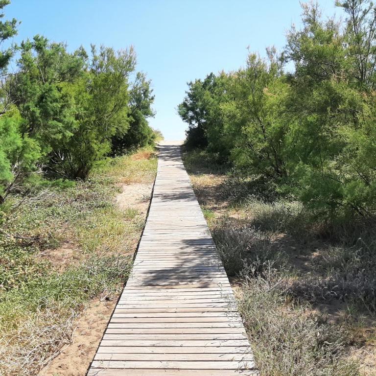 Adosadito Playa Oliva - Apartamento de 1 dormitorio - 25