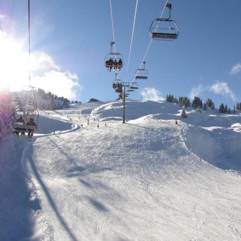 Charmant appartement 6-8 personnes au cœur du village à proximité lac et pistes de ski - Appartement 2 Chambres - 23