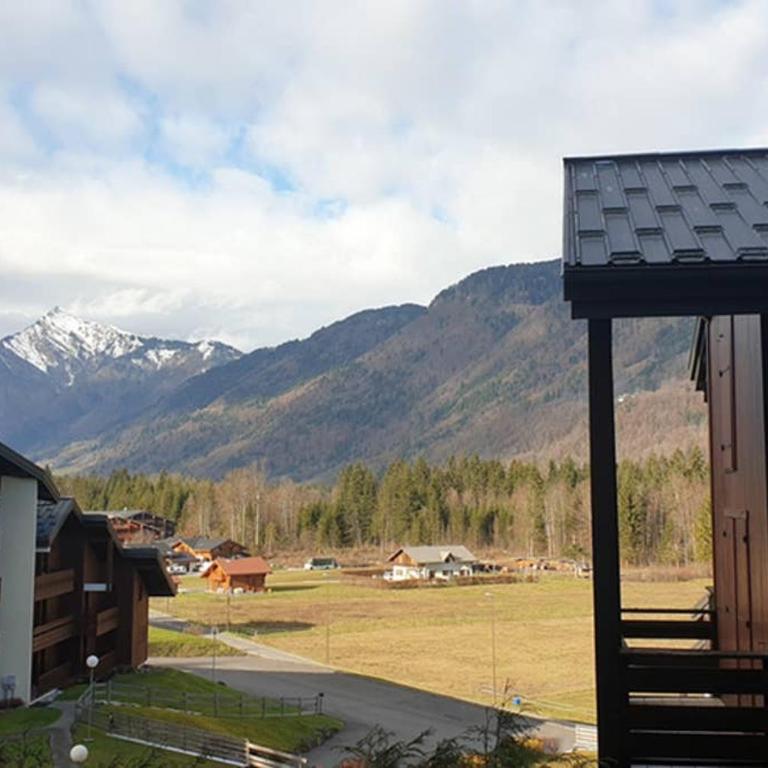 Charmant appartement 6-8 personnes au cœur du village à proximité lac et pistes de ski - Appartement 2 Chambres - 18