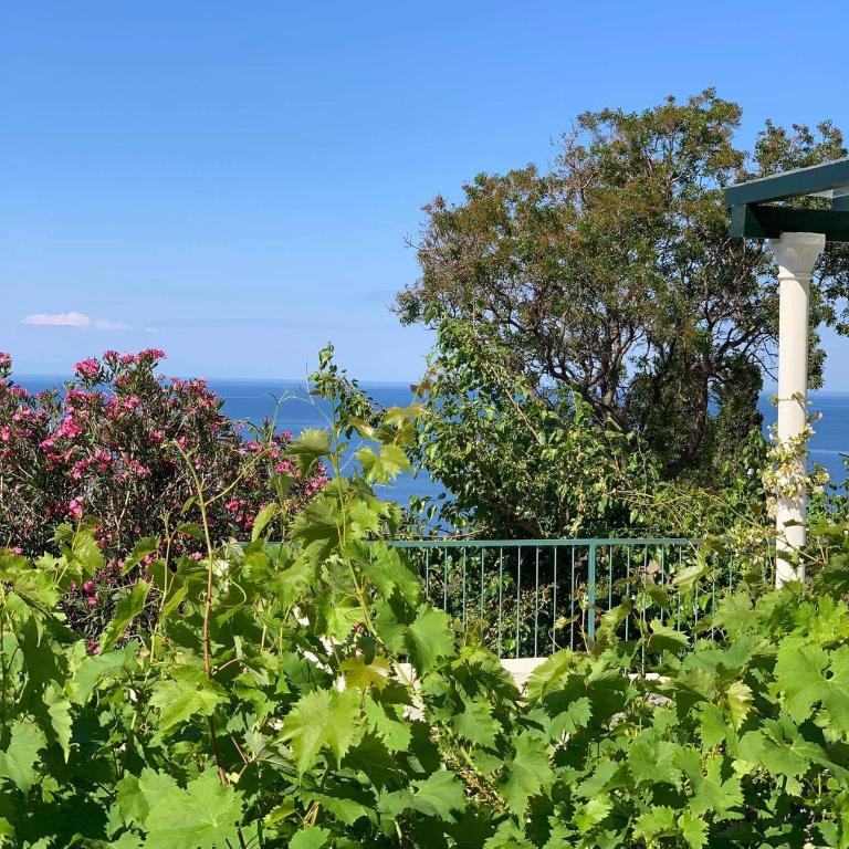 Boutique Home Saltaragazza - One-Bedroom Apartment (2 Adults) - 11