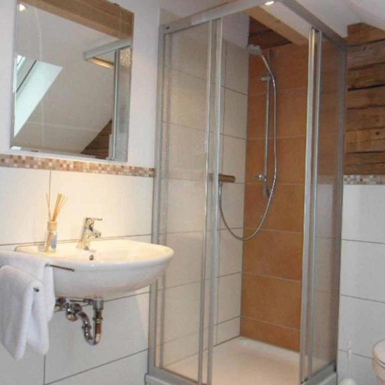 Landhaus in der Irlau - Loft - 9