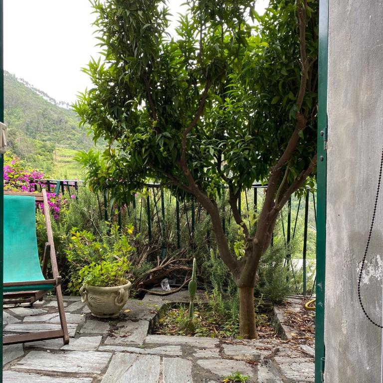 Cottage La Terrazza - Appartamento con Terrazza - 42