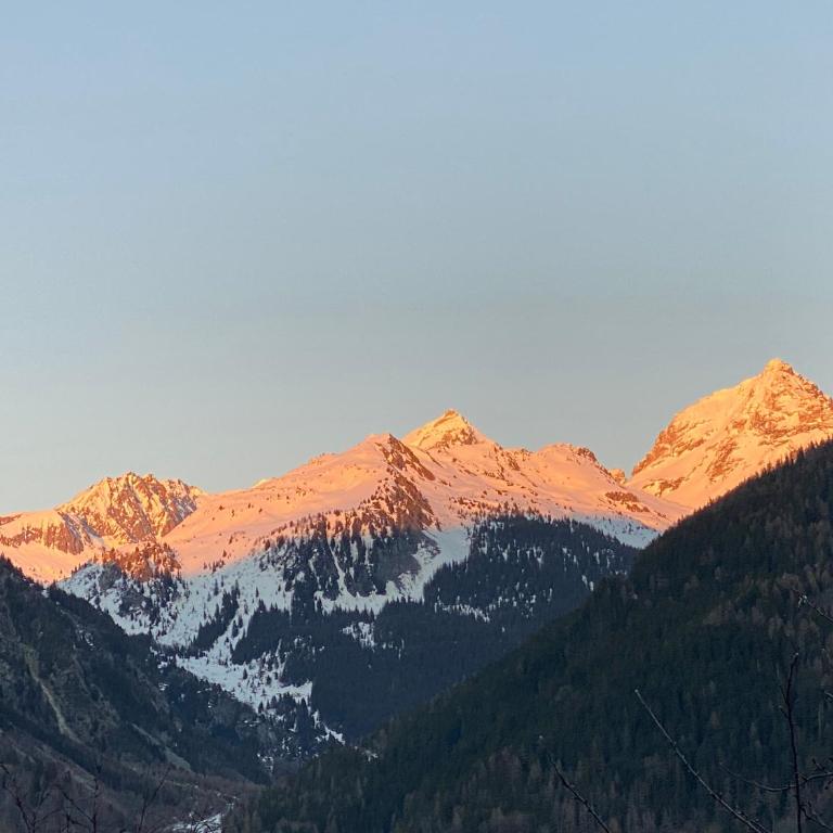 Chalet Violettes - Appartamento con 1 Camera da Letto - 11