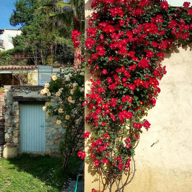 Le Mas de FRAYERE - Chambre Double - Vue sur Jardin - 7