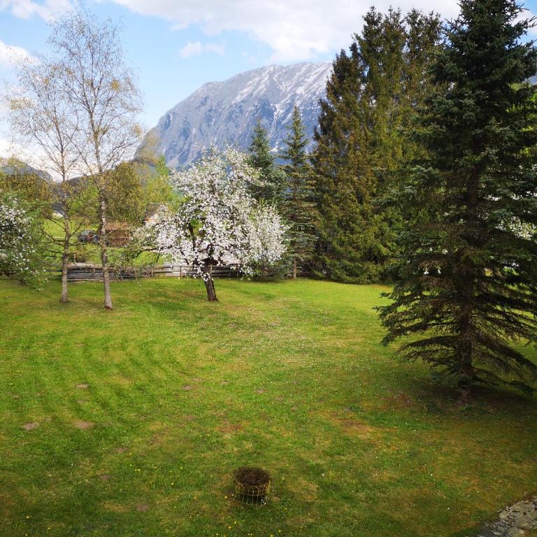Ferienwohnungen BERGfeeling - Apartment mit Blick auf die Berge - 27